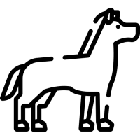picto d'un cheval