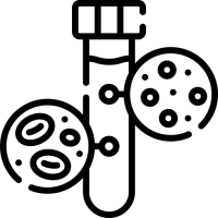 picto d'un cheval
