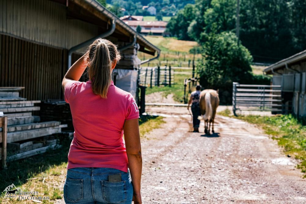 visite d'achat cheval à Bons-en-Chablais