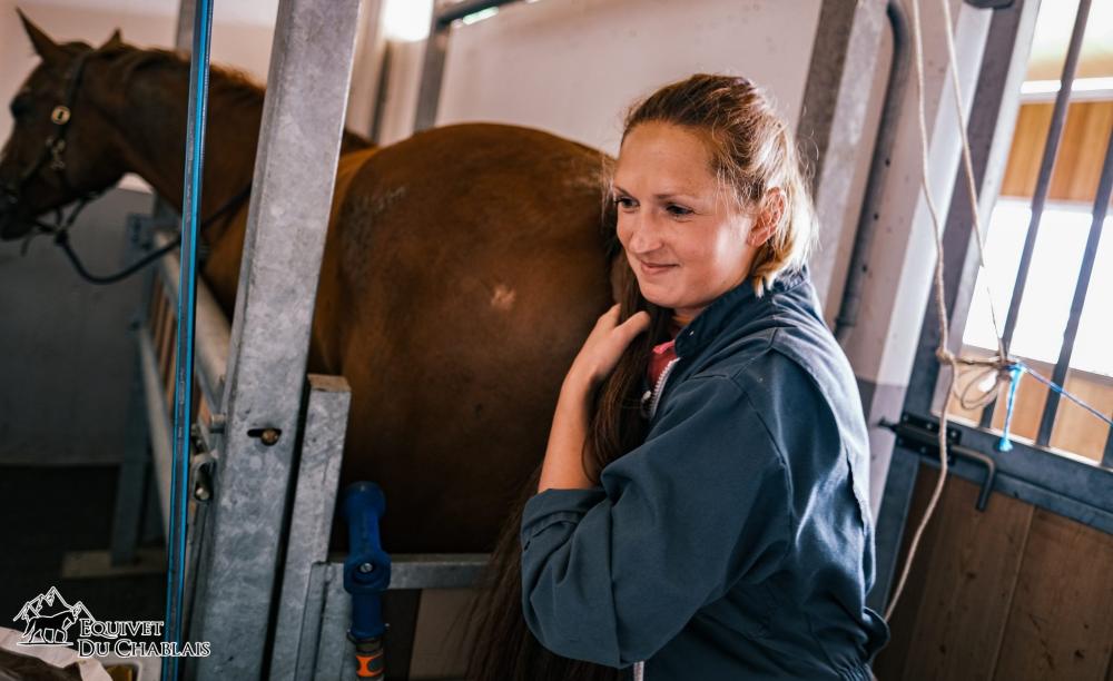 gynécologie équine à Bons-en-Chablais